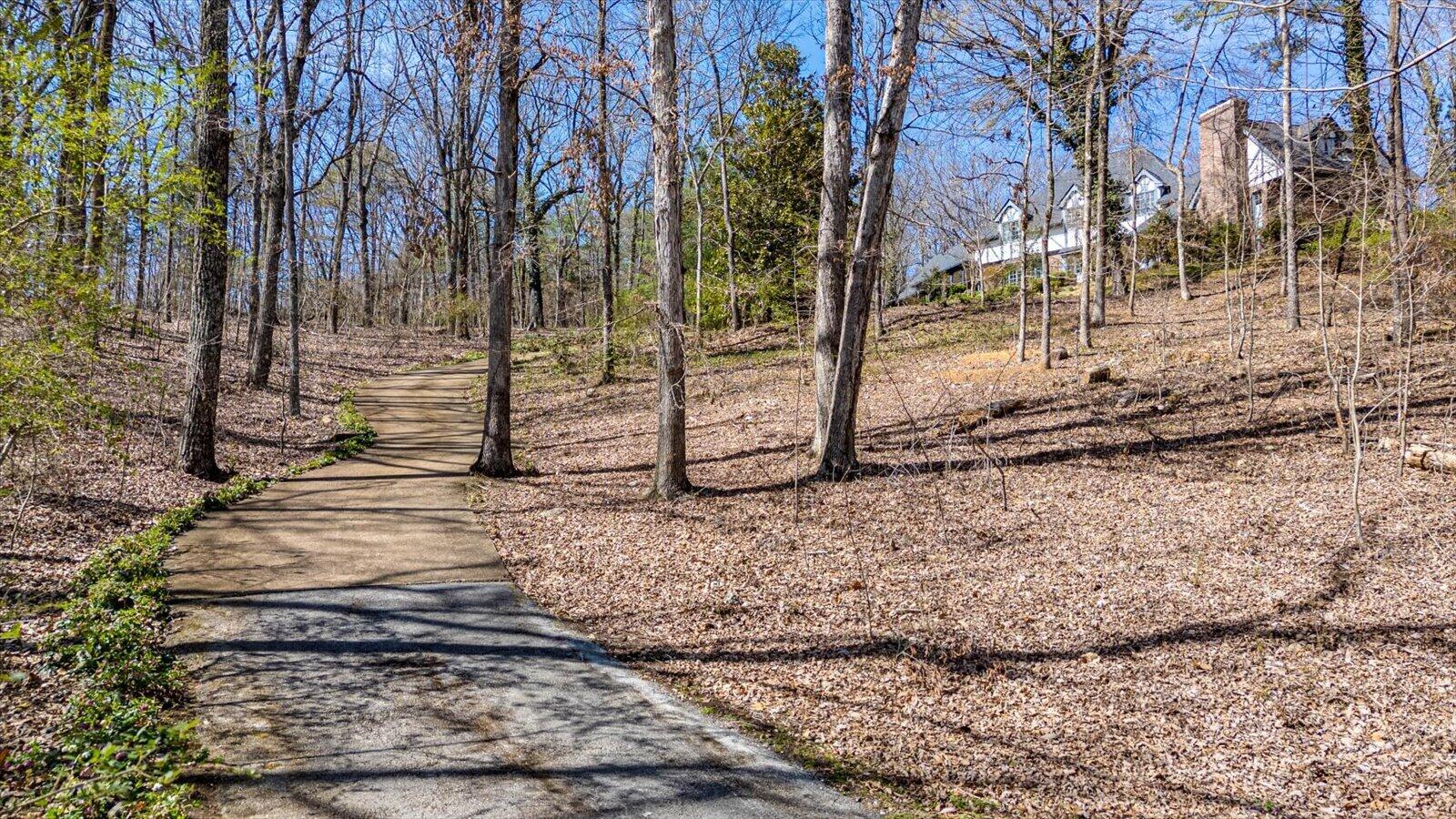5803 Lake Resort Drive, Hixson, Tennessee image 5