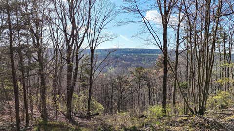 Vacant Land For Sale - LOT 1350 Split Rail Way<br/> Guild, TN 37340