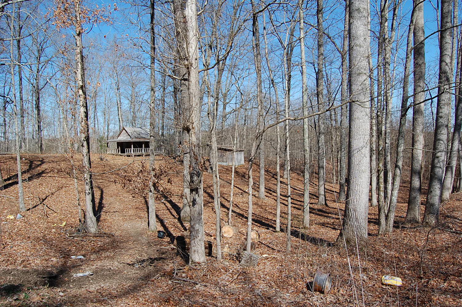 536 Ski View Drive, Dunlap, Tennessee image 4