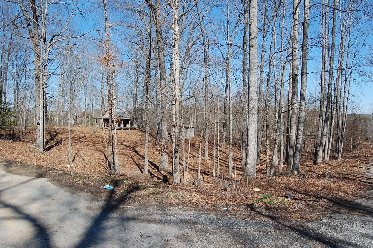 536 Ski View Drive, Dunlap, Tennessee image 2