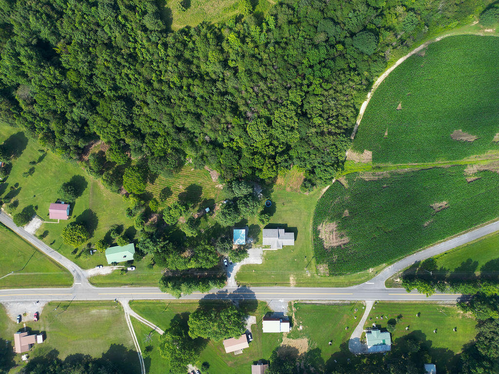 Bryant, Alabama 35958, United States, 4 Bedrooms Bedrooms, ,2 BathroomsBathrooms,Residential,Active,170046