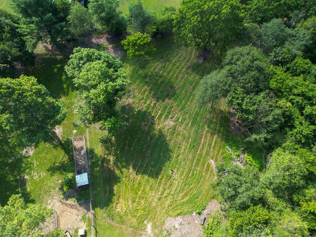 Bryant, Alabama 35958, United States, 4 Bedrooms Bedrooms, ,2 BathroomsBathrooms,Residential,Active,170046