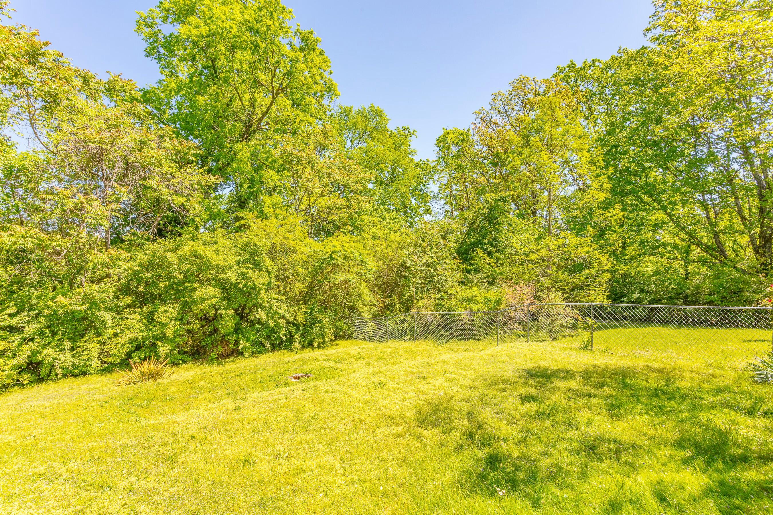 3369 Idlewild Drive, Chattanooga, Tennessee image 10