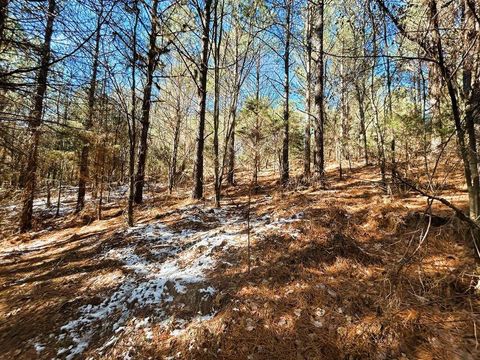 Photo of 15.53ac Redman Ridge Lane, Decatur, TN 37322 (MLS # 1527297)