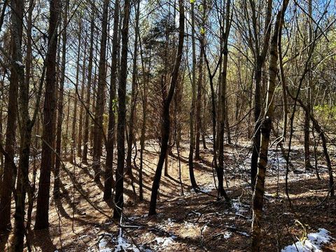 Tiny photo for 15.53ac Redman Ridge Lane, Decatur, TN 37322 (MLS # 1527297)