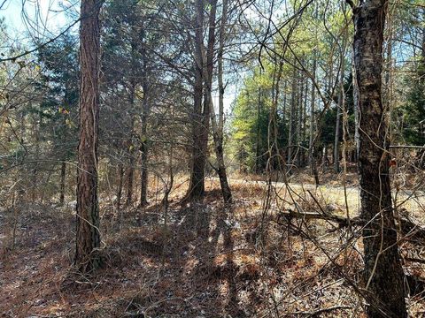 Tiny photo for 15.53ac Redman Ridge Lane, Decatur, TN 37322 (MLS # 1527297)