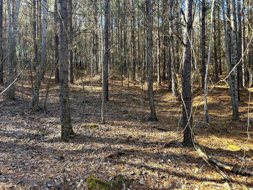 15.53ac Redman Ridge Lane