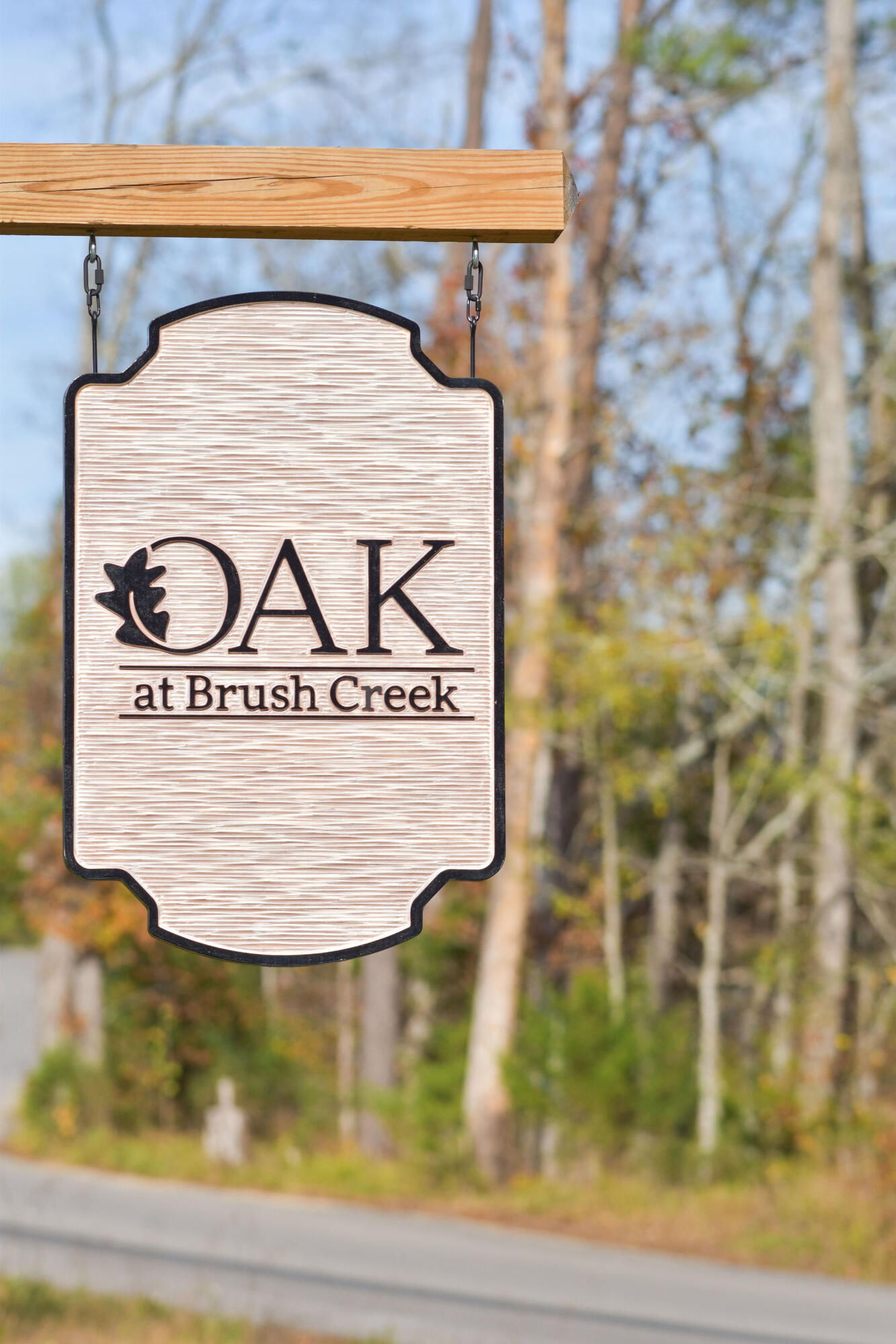 249 Bear Oak Drive, Dunlap, Tennessee image 47