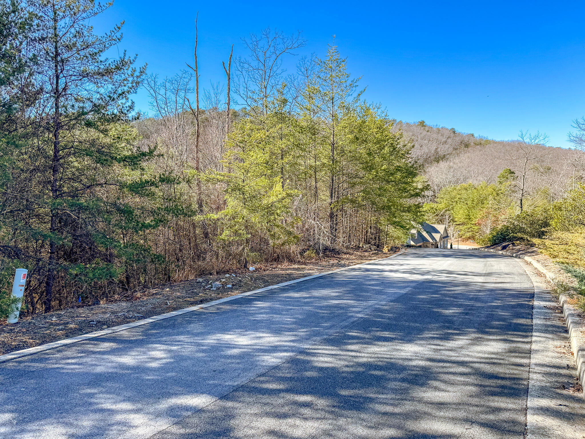 Lot 4 Bald Eagle Lane, Dalton, Georgia image 4