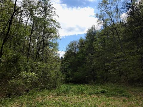 Photo of 0 Cane Creek Mtn. Road, Tellico Plains, TN 37385 (MLS # 1525007)