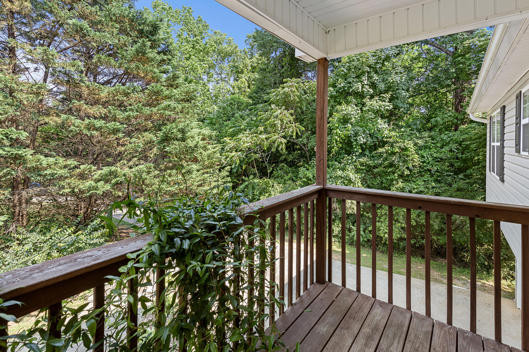 820 Indian Springs Road, Ringgold, Georgia image 11