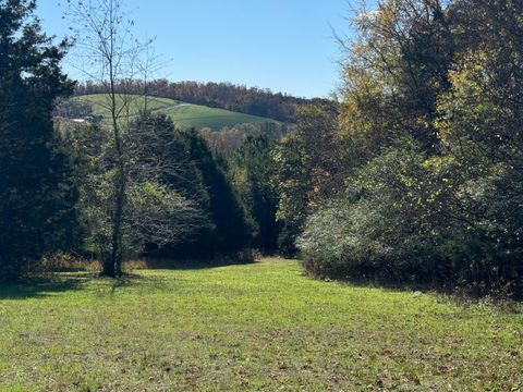 Photo of Lot 29 Goodfield Terrace, Decatur, TN 37322 (MLS # 1523031)