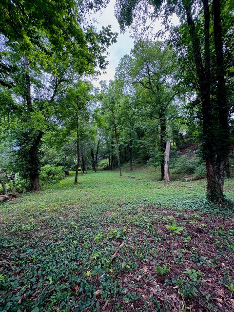 Vacant Land For Sale - 6733 Moss Lake Drive<br/> Hixson, TN 37343