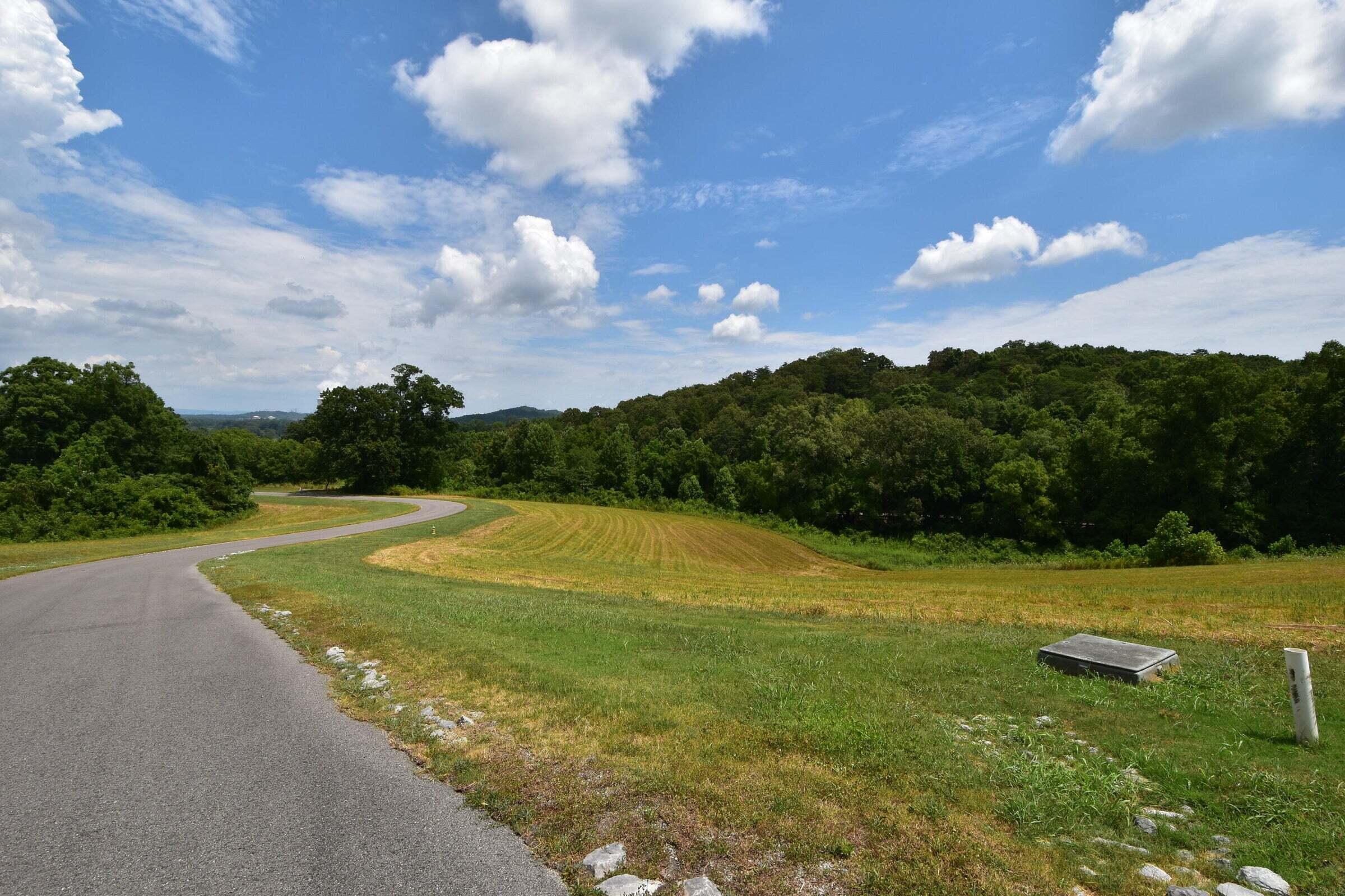 00 Espalier Drive #6, 7,  8, Decatur, Tennessee image 9
