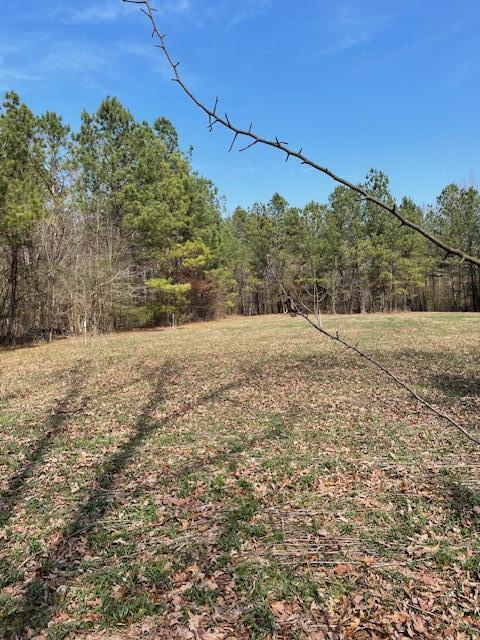 SE Johnson Road, Cleveland, Tennessee image 10
