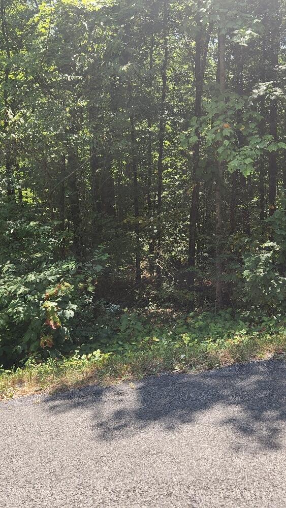 Lot 310 Big Spring Gap, Pikeville, Tennessee image 12