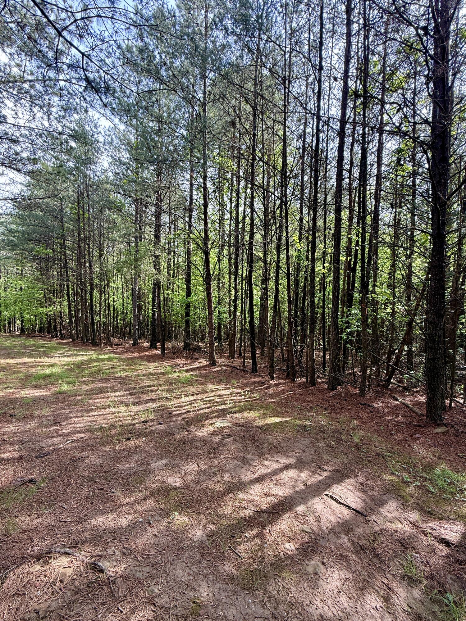 458 Coca Cola Road, Dunlap, Tennessee image 26