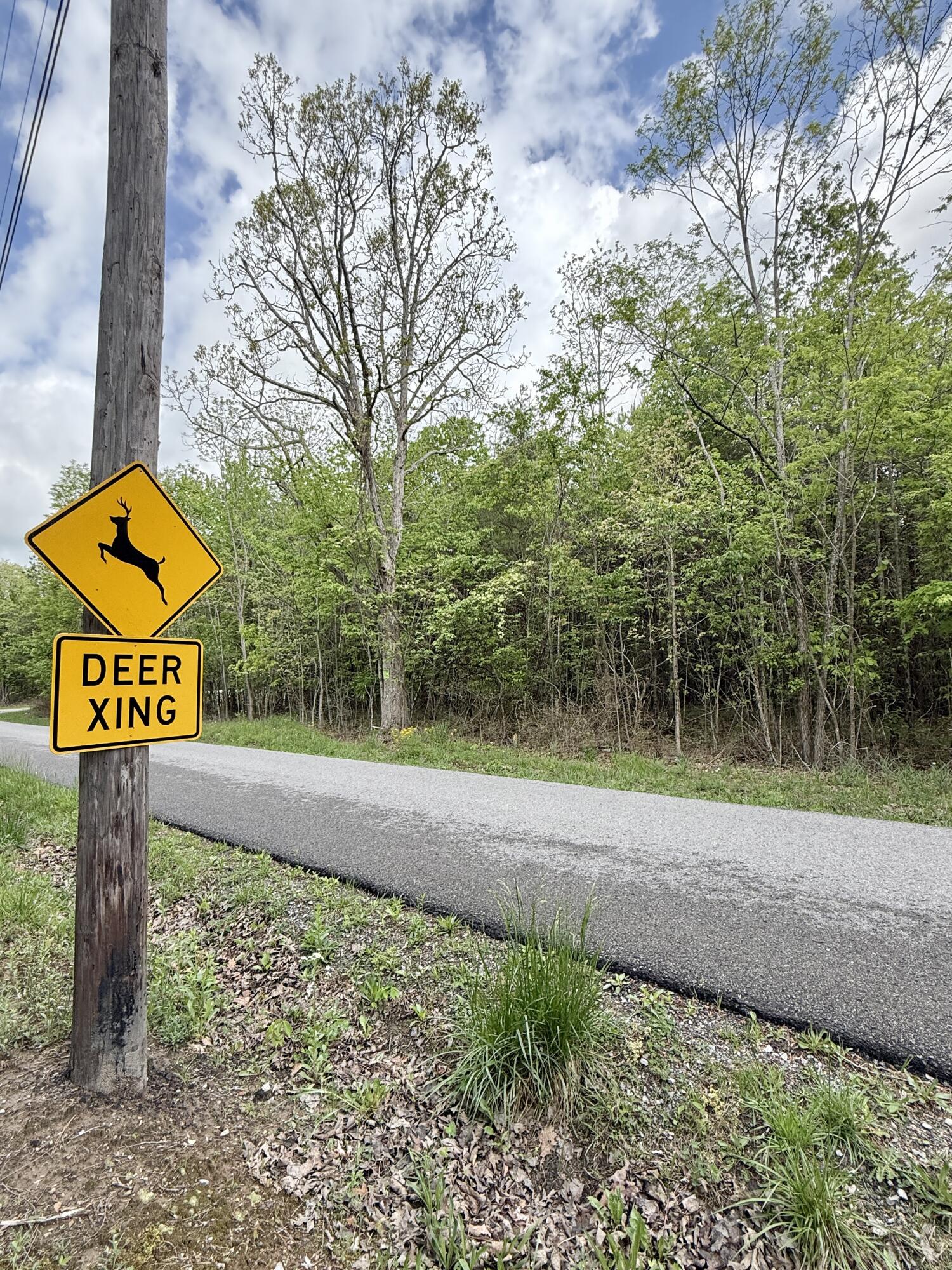458 Coca Cola Road, Dunlap, Tennessee image 36
