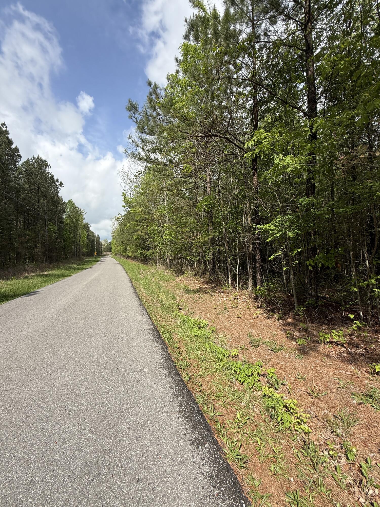 458 Coca Cola Road, Dunlap, Tennessee image 35