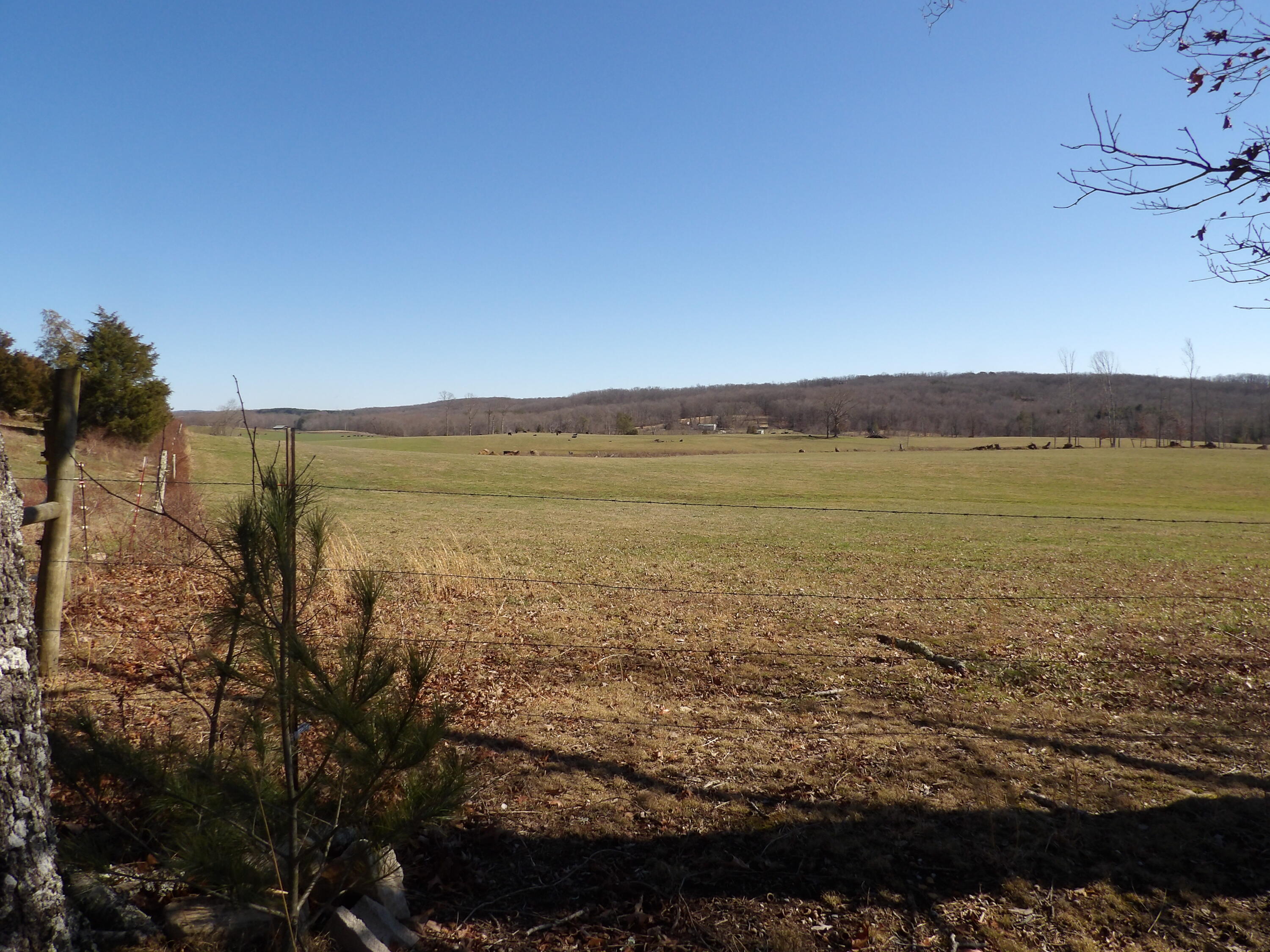 000 Ten Hale Road, Pikeville, Tennessee image 8