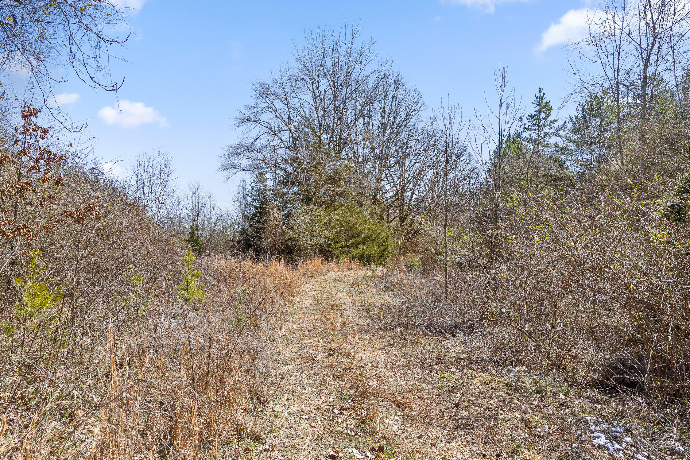Pierce Hill Road, Dayton, Tennessee image 15