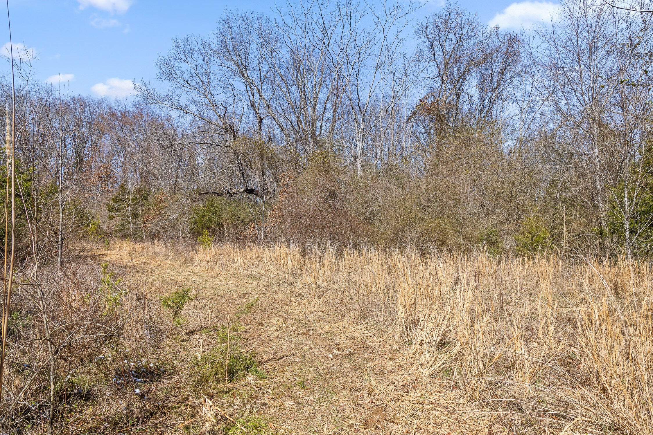 Pierce Hill Road, Dayton, Tennessee image 14