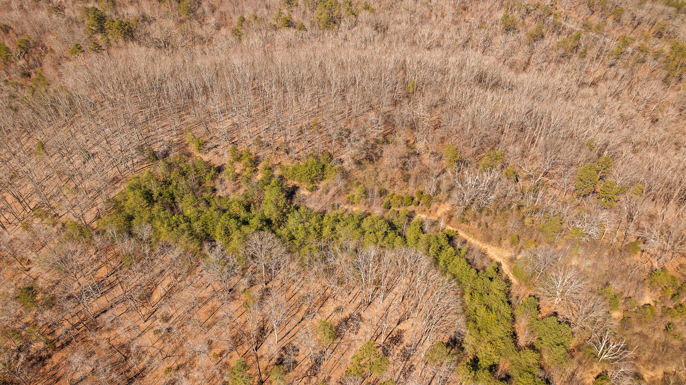 Pierce Hill Road, Dayton, Tennessee image 41