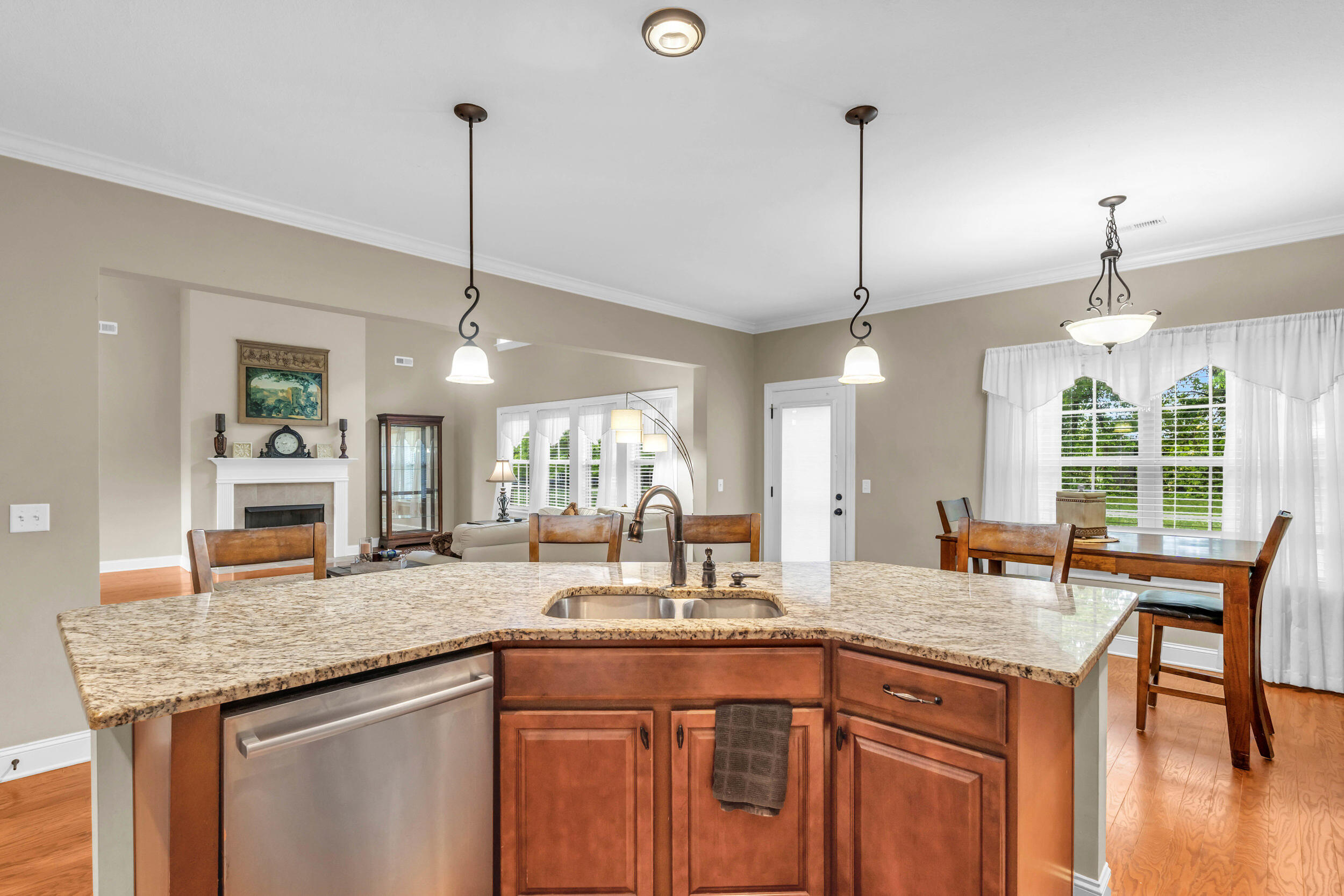 8358 Front Gate Circle, Ooltewah, Tennessee image 15