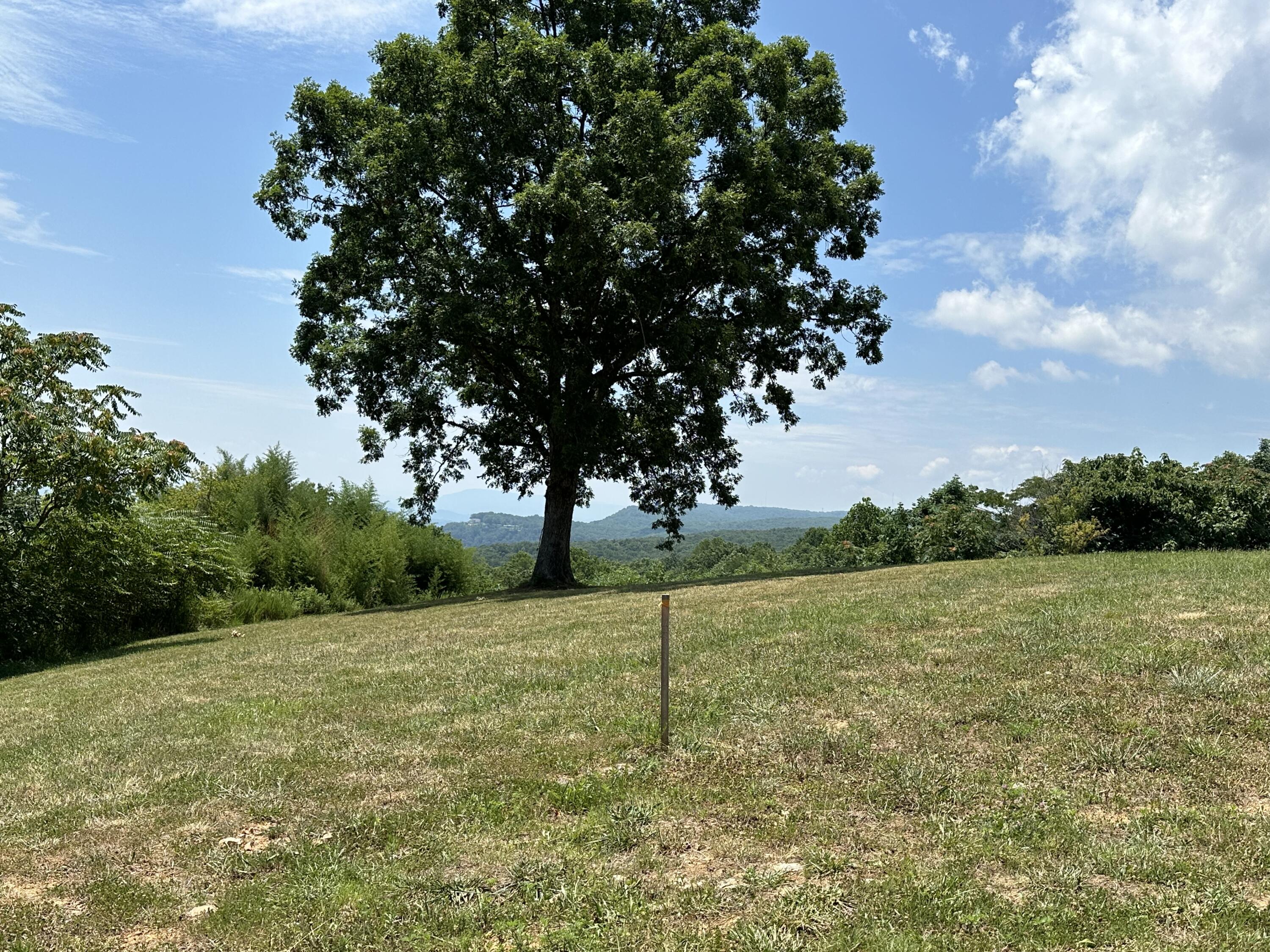 1000 Sawyer Cemetery Road, Signal Mountain, Tennessee image 9