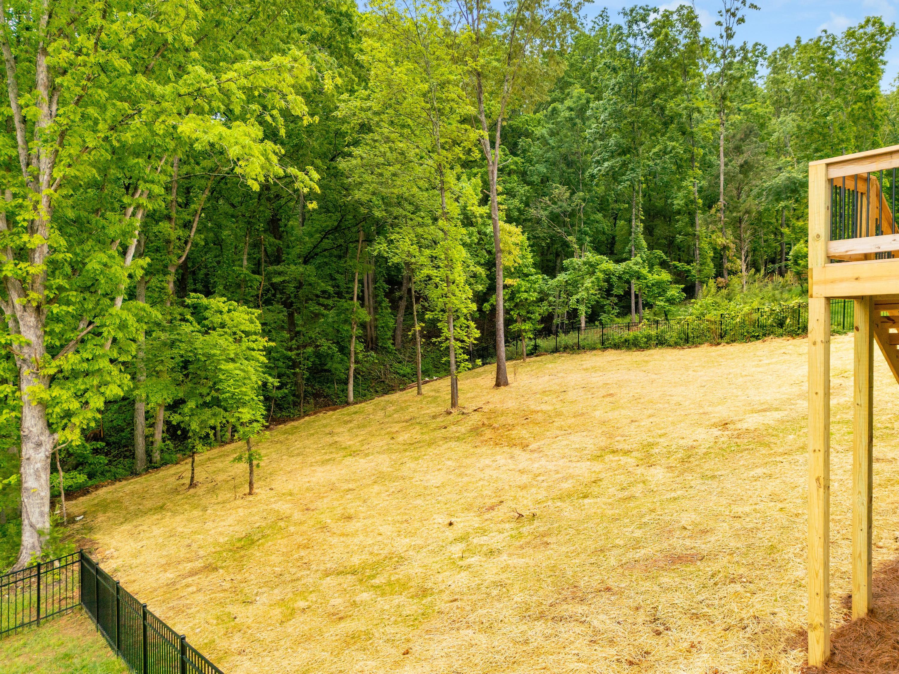 6119 Cashmere Lane, Harrison, Tennessee image 30
