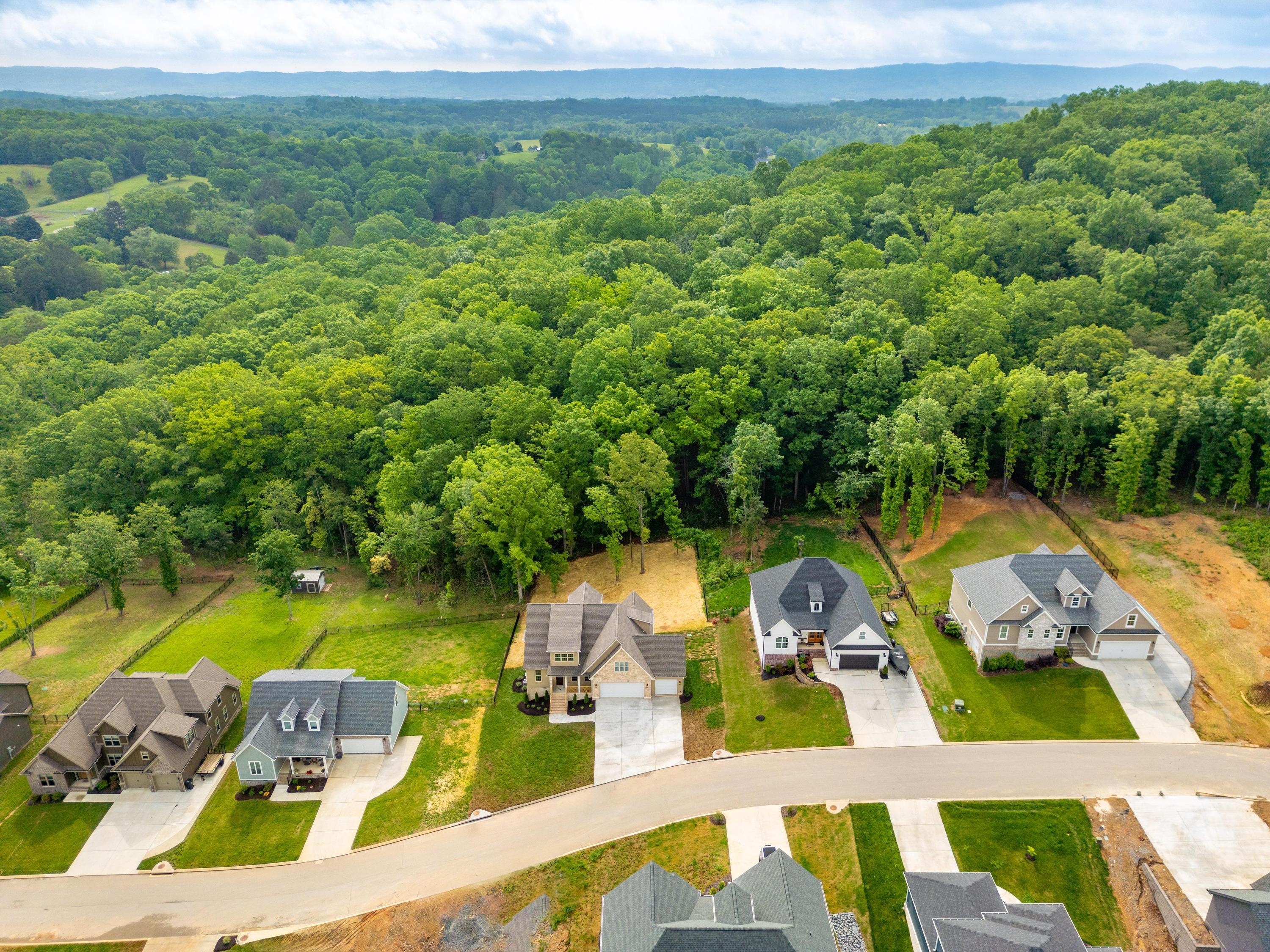 6119 Cashmere Lane, Harrison, Tennessee image 33