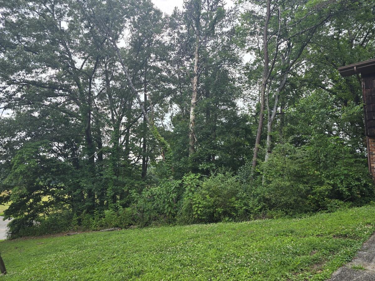 7105 Cane Hollow Road, Hixson, Tennessee image 12