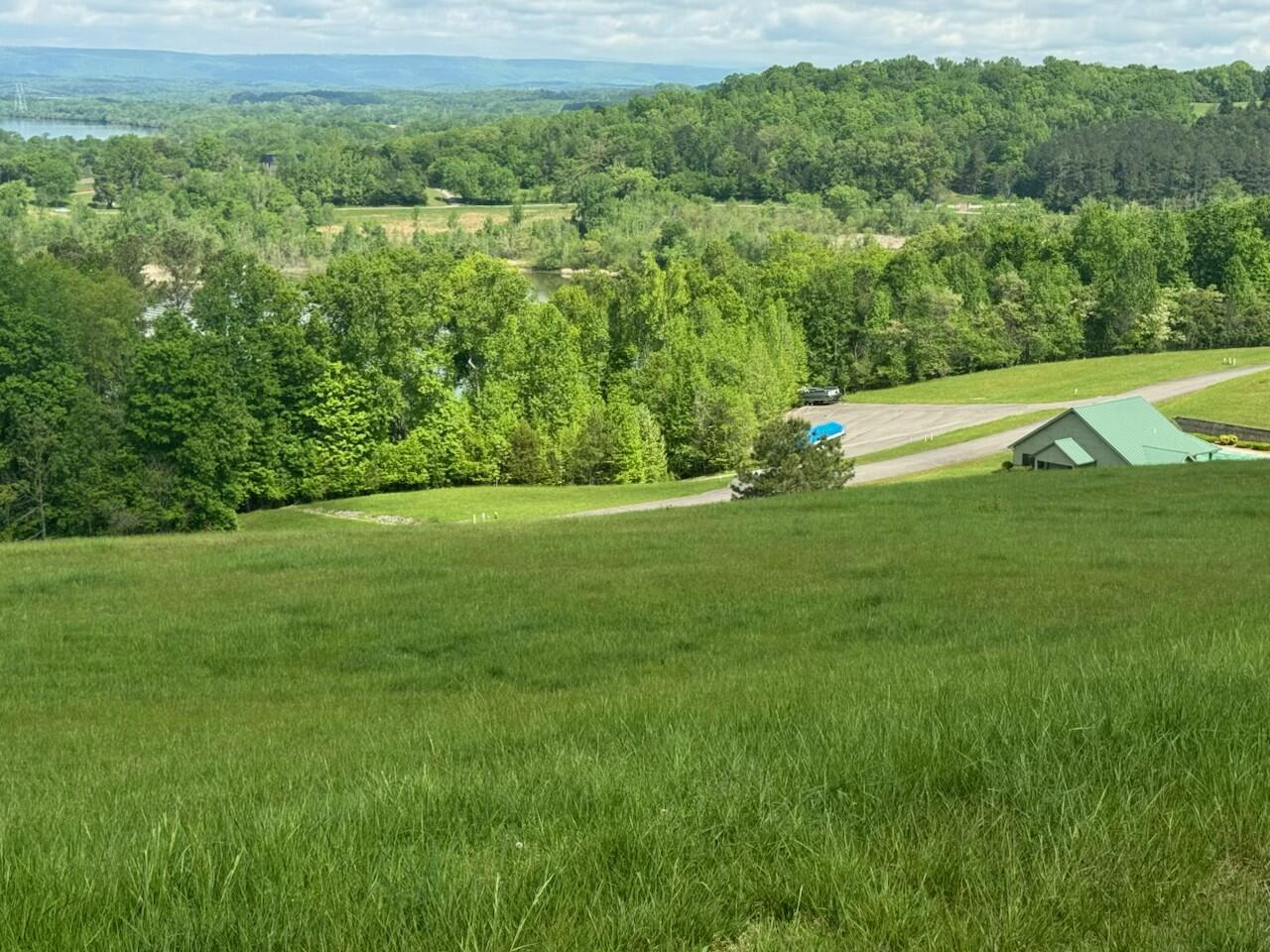 44 Mill Road, Decatur, Tennessee image 3