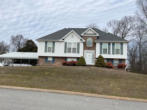 Photo of 7115 Snapdragon Lane, Ooltewah, TN 37363 (MLS # 1528456)
