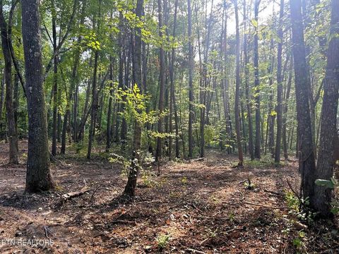 Photo of Tract 5 Pleasant Hill Road, Ten Mile, TN 37880 (MLS # 1531416)