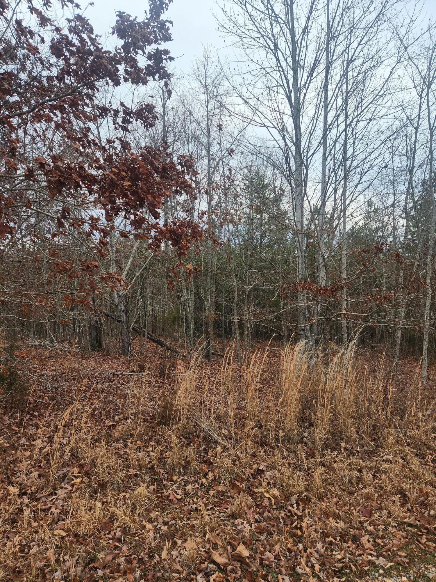 Fooshee Pass #52, Ten Mile, Tennessee image 12