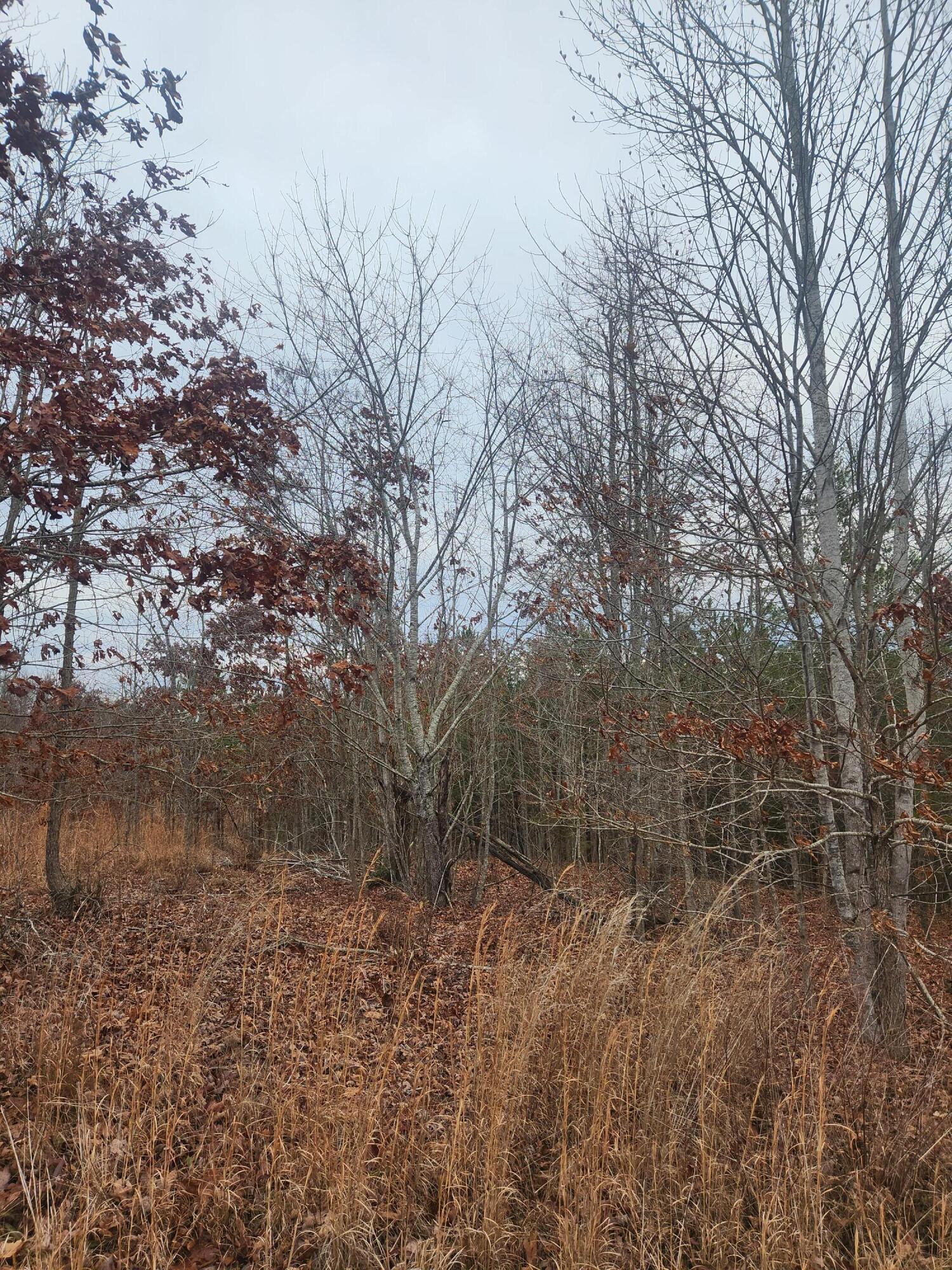 Fooshee Pass #52, Ten Mile, Tennessee image 11