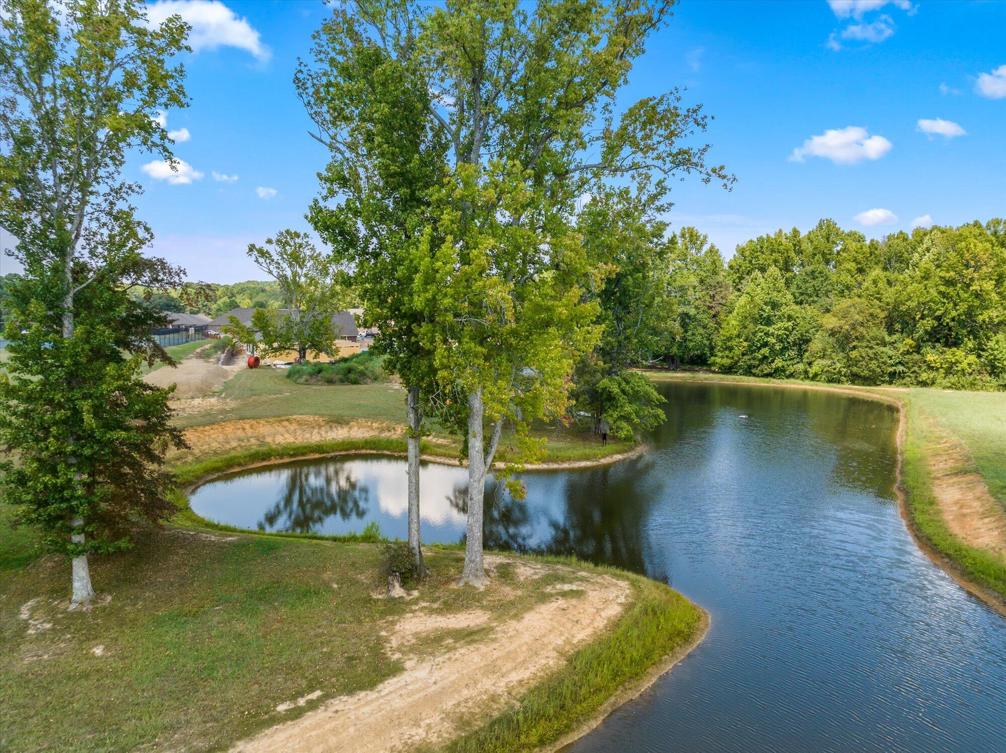 207 Zion Cove Lane, Englewood, Tennessee image 39