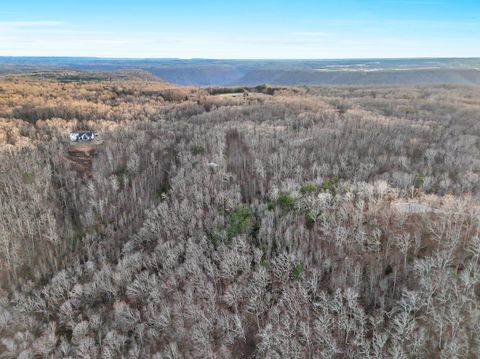 Tiny photo for 0 Teludachee, South Pittsburg, TN 37380 (MLS # 1527726)