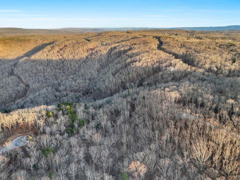 Tiny photo for 0 Teludachee, South Pittsburg, TN 37380 (MLS # 1527726)