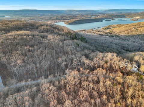 Tiny photo for 0 Teludachee, South Pittsburg, TN 37380 (MLS # 1527726)