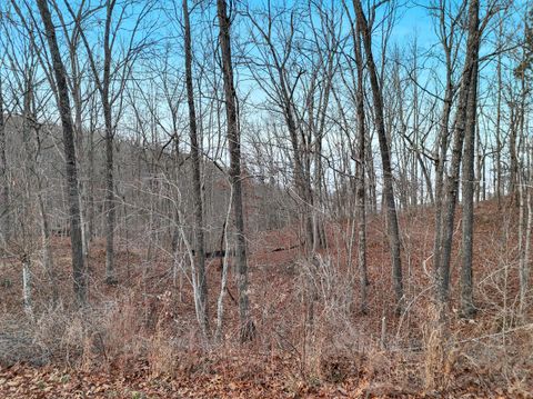 Tiny photo for 0 Teludachee, South Pittsburg, TN 37380 (MLS # 1527726)