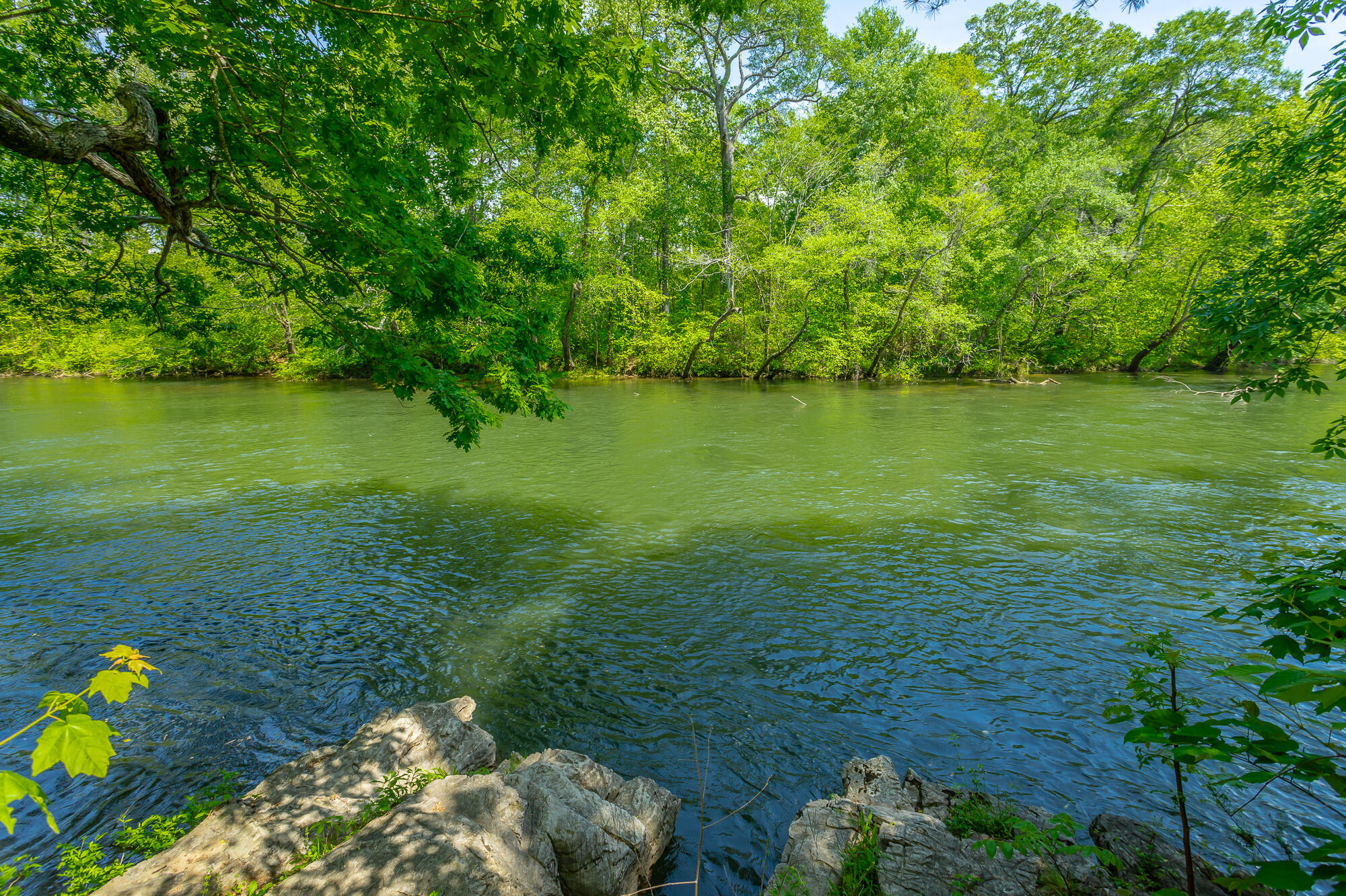 145 River Bend Drive, Ocoee, Tennessee image 40
