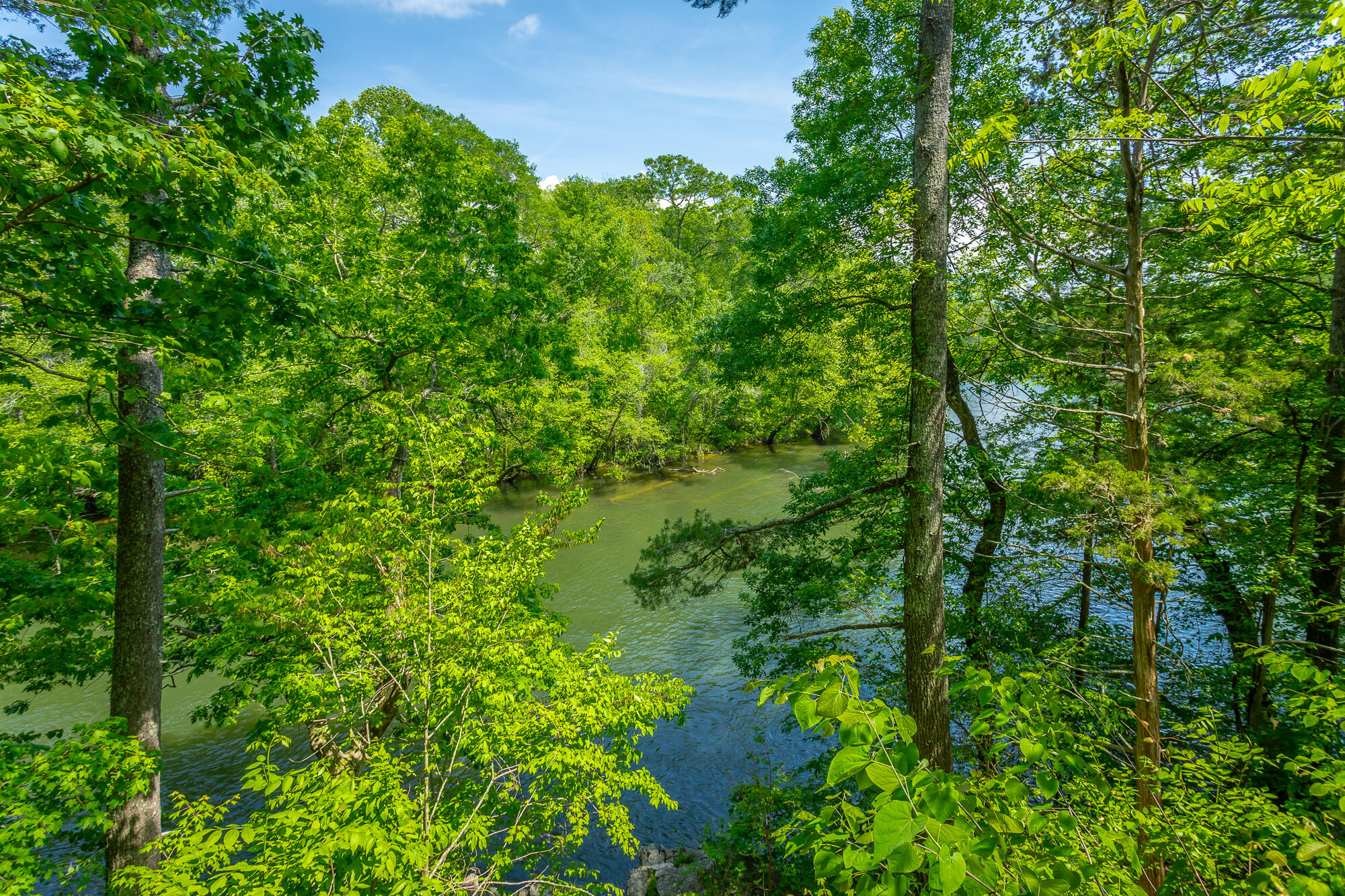 145 River Bend Drive, Ocoee, Tennessee image 39
