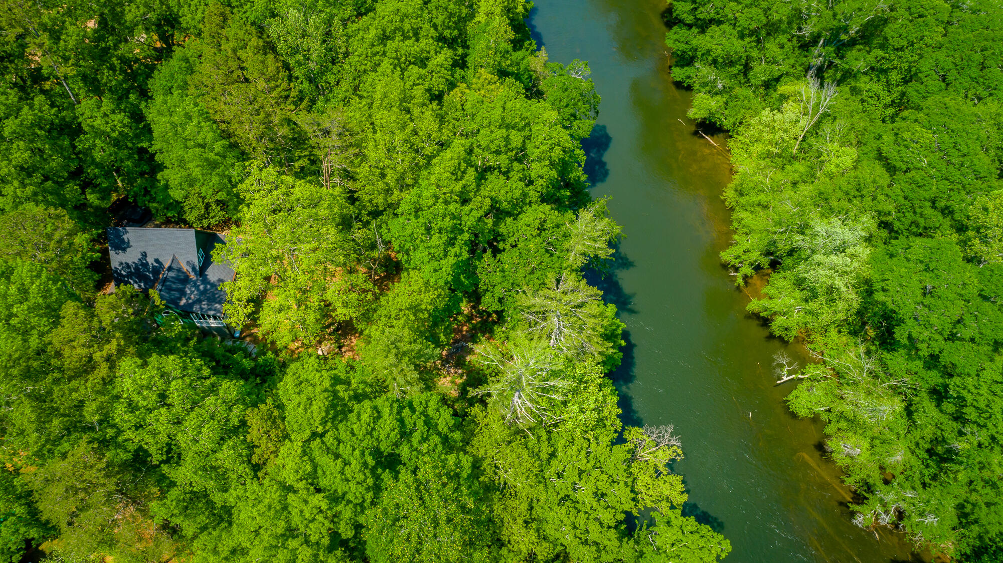 145 River Bend Drive, Ocoee, Tennessee image 46