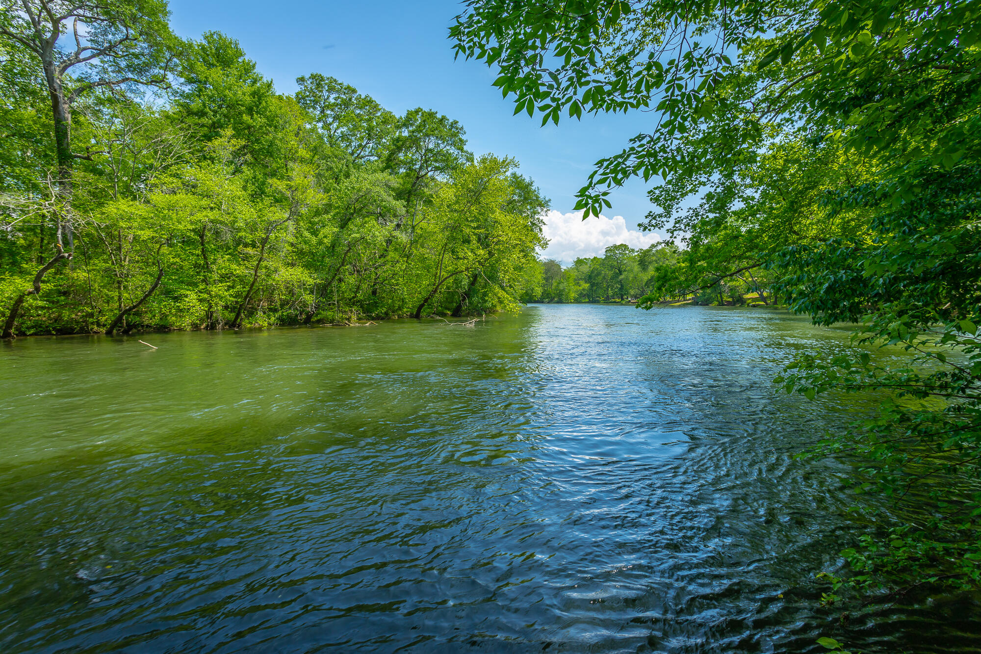 145 River Bend Drive, Ocoee, Tennessee image 43