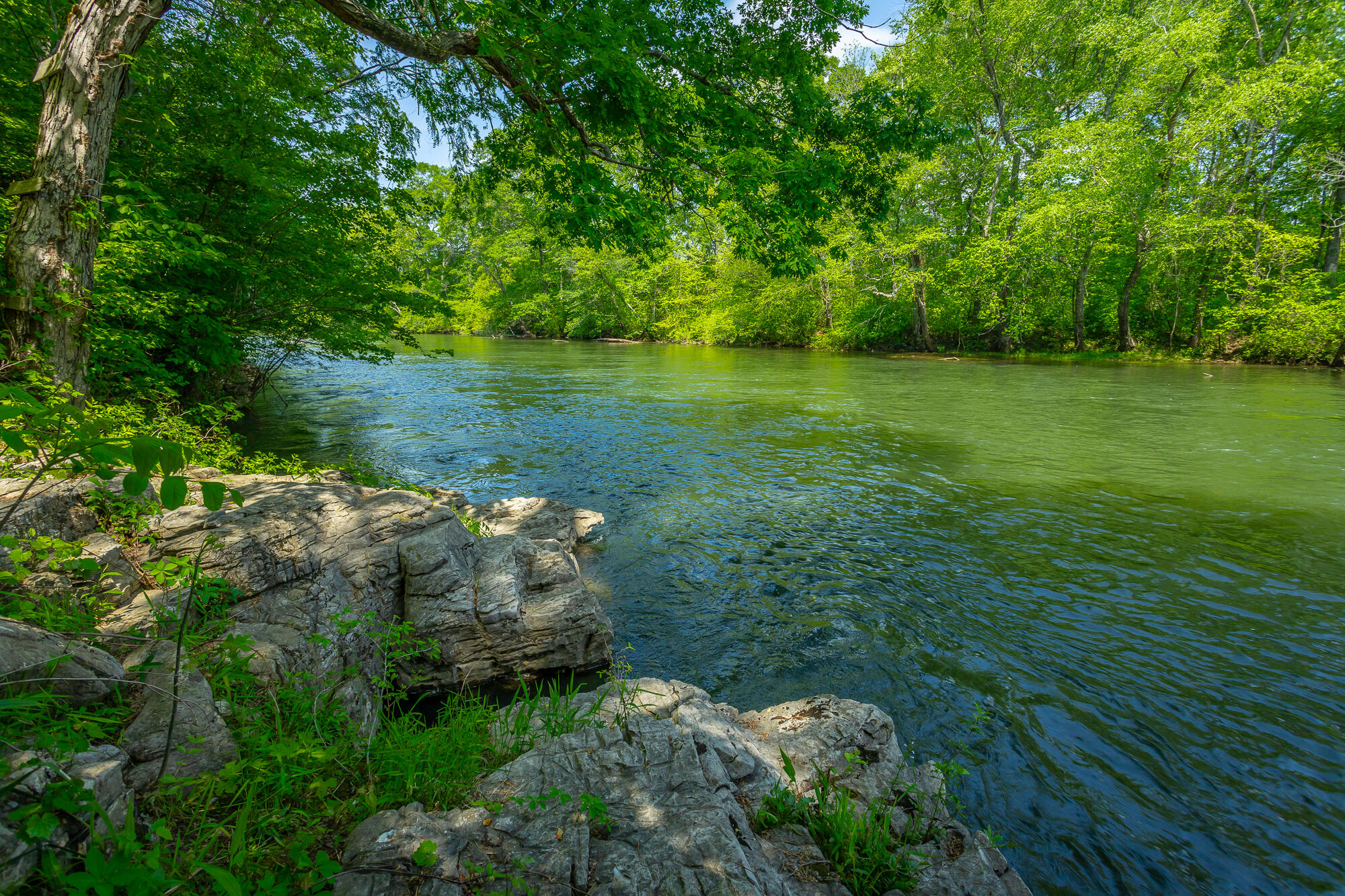 145 River Bend Drive, Ocoee, Tennessee image 42