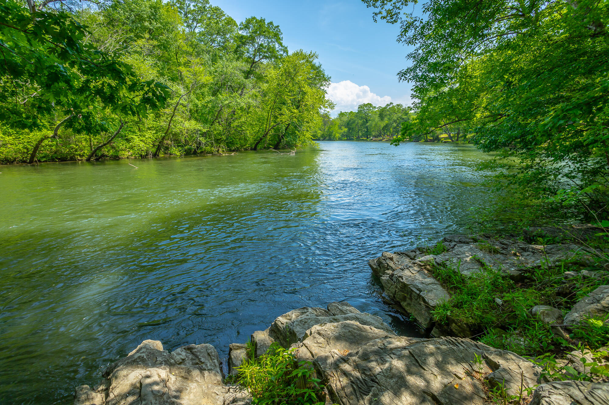 145 River Bend Drive, Ocoee, Tennessee image 41