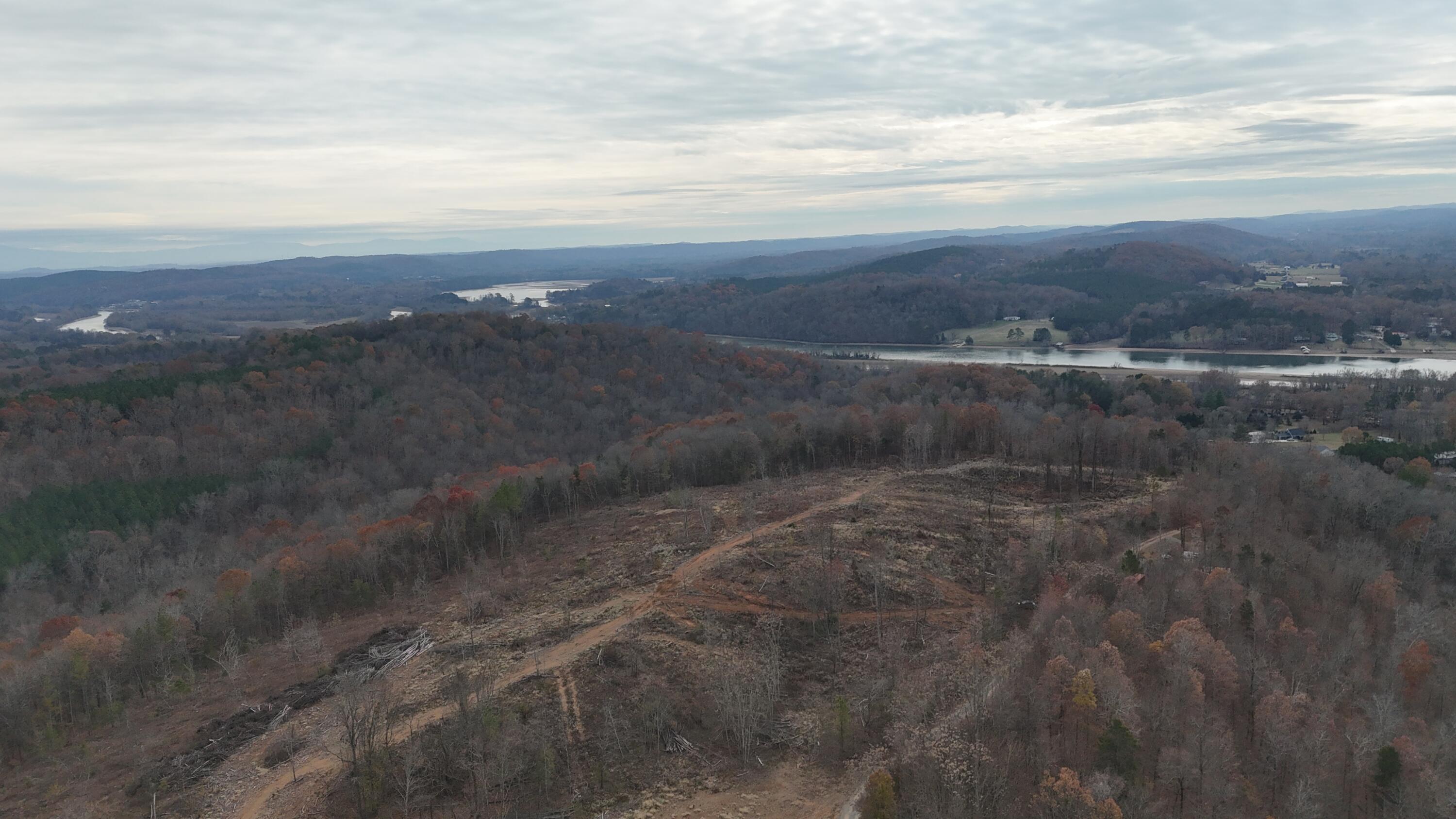 Lot 1 Lamontville Road, Decatur, Tennessee image 31