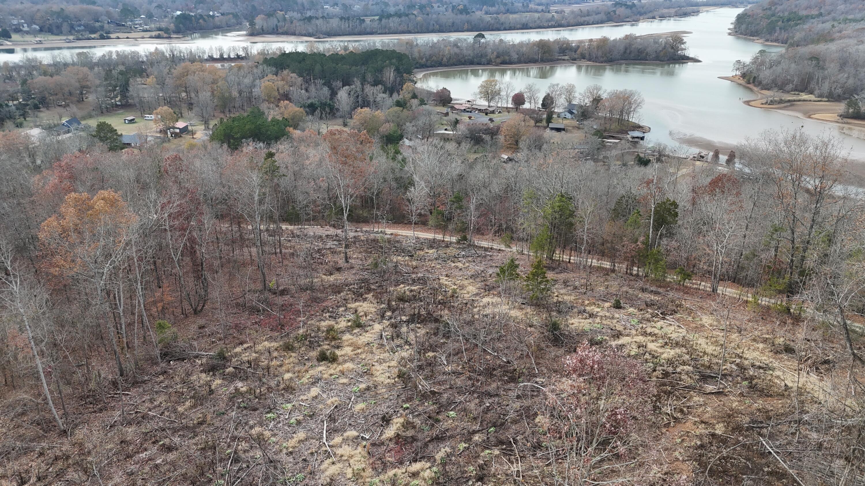 Lot 1 Lamontville Road, Decatur, Tennessee image 16